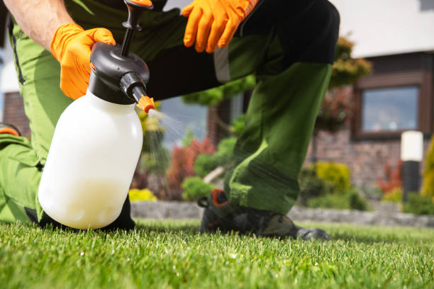 Best Pest Control Treatment  in Three Rivers, OR